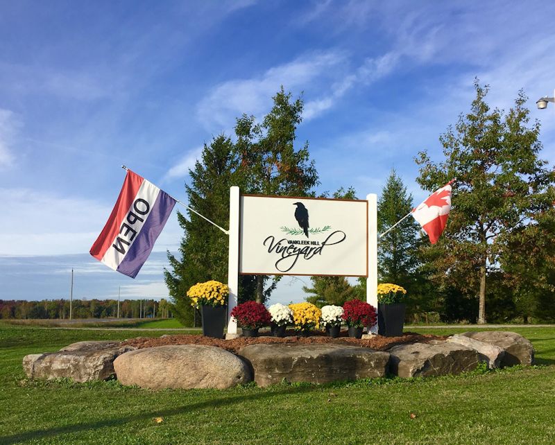 Vankleek Hills Vineyard&nbsp;